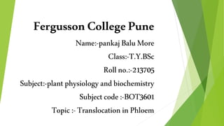 FergussonCollegePune
Name:-pankajBaluMore
Class:-T.Y.BSc
Rollno.:-213705
Subject:-plantphysiologyandbiochemistry
Subjectcode:-BOT3601
Topic:-TranslocationinPhloem
 