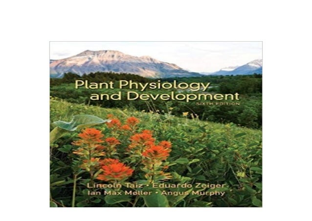 Apa Format 6th Edition Download