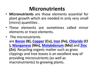 Plant physiology and Bichemistry | PPTX