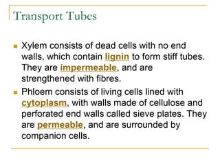 Transport Tubes
 Xylem consists of dead cells with no end
walls, which contain lignin to form stiff tubes.
They are impermeable, and are
strengthened with fibres.
 Phloem consists of living cells lined with
cytoplasm, with walls made of cellulose and
perforated end walls called sieve plates. They
are permeable, and are surrounded by
companion cells.
 