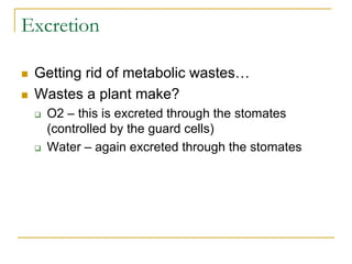 Excretion
 Getting rid of metabolic wastes…
 Wastes a plant make?
 O2 – this is excreted through the stomates
(controlled by the guard cells)
 Water – again excreted through the stomates
 