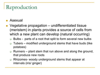 Reproduction
 Asexual
 Vegetative propagation – undifferentiated tissue
(meristem) in plants provides a source of cells from
which a new plant can develop (natural occurring)
 Bulbs - parts of a root that split to form several new bulbs
 Tubers – modified underground stems that have buds (like
potatoes)
 Runners – plant stem that run above and along the ground,
that produce new roots
 Rhizomes- woody underground stems that appear at
intervals (iris/ ginger)
 