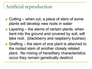 Artificial reproduction
 Cutting – when cut, a piece of stem of some
plants will develop new roots in water
 Layering – the stems of certain plants, when
bent into the ground and covered by soil, will
take root. (blackberry and raspberry bushes)
 Grafting – the stem of one plant is attached to
the rooted stem of another closely related
plant. No mixing of hereditary characteristics
occur they remain genetically destinct
 