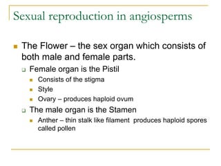 Sexual reproduction in angiosperms
 The Flower – the sex organ which consists of
both male and female parts.
 Female organ is the Pistil
 Consists of the stigma
 Style
 Ovary – produces haploid ovum
 The male organ is the Stamen
 Anther – thin stalk like filament produces haploid spores
called pollen
 