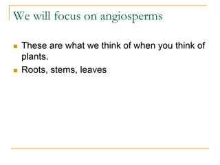 We will focus on angiosperms
 These are what we think of when you think of
plants.
 Roots, stems, leaves
 