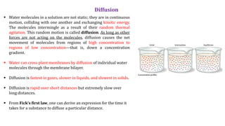 Plant physiology Lecture | PDF