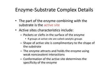 Enzyme-Substrate Complex Details
• The part of the enzyme combining with the
substrate is the active site
• Active sites characteristics include:
– Pockets or clefts in the surface of the enzyme
• R groups at active site are called catalytic groups
– Shape of active site is complimentary to the shape of
the substrate
– The enzyme attracts and holds the enzyme using
weak noncovalent interactions
– Conformation of the active site determines the
specificity of the enzyme
 