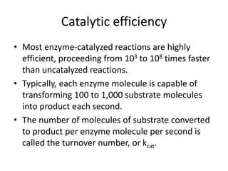 Catalytic efficiency
• Most enzyme-catalyzed reactions are highly
efficient, proceeding from 103 to 108 times faster
than uncatalyzed reactions.
• Typically, each enzyme molecule is capable of
transforming 100 to 1,000 substrate molecules
into product each second.
• The number of molecules of substrate converted
to product per enzyme molecule per second is
called the turnover number, or kcat.
 