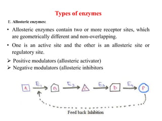 Types of enzymes
E. Allosteric enzymes:
• Allosteric enzymes contain two or more receptor sites, which
are geometrically different and non-overlapping.
• One is an active site and the other is an allosteric site or
regulatory site.
 Positive modulators (allosteric activator)
 Negative modulators (allosteric inhibitors
 