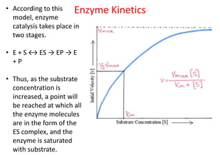 • According to this
model, enzyme
catalysis takes place in
two stages.
• E + S ↔ ES → EP → E
+ P
• Thus, as the substrate
concentration is
increased, a point will
be reached at which all
the enzyme molecules
are in the form of the
ES complex, and the
enzyme is saturated
with substrate.
Enzyme Kinetics
 