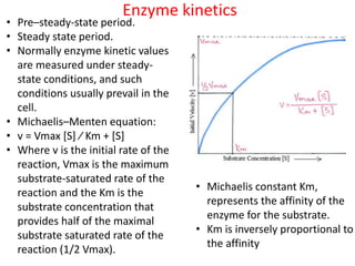 • Pre–steady-state period.
• Steady state period.
• Normally enzyme kinetic values
are measured under steady-
state conditions, and such
conditions usually prevail in the
cell.
• Michaelis–Menten equation:
• v = Vmax [S] ∕ Km + [S]
• Where v is the initial rate of the
reaction, Vmax is the maximum
substrate-saturated rate of the
reaction and the Km is the
substrate concentration that
provides half of the maximal
substrate saturated rate of the
reaction (1/2 Vmax).
Enzyme kinetics
• Michaelis constant Km,
represents the affinity of the
enzyme for the substrate.
• Km is inversely proportional to
the affinity
 