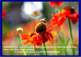 Butterflies are now all around..Make your garden a feast for butterflies,
bees and other small animals.
IT GIVES YOU ALSO A LOT OF HAPPINESS.
 