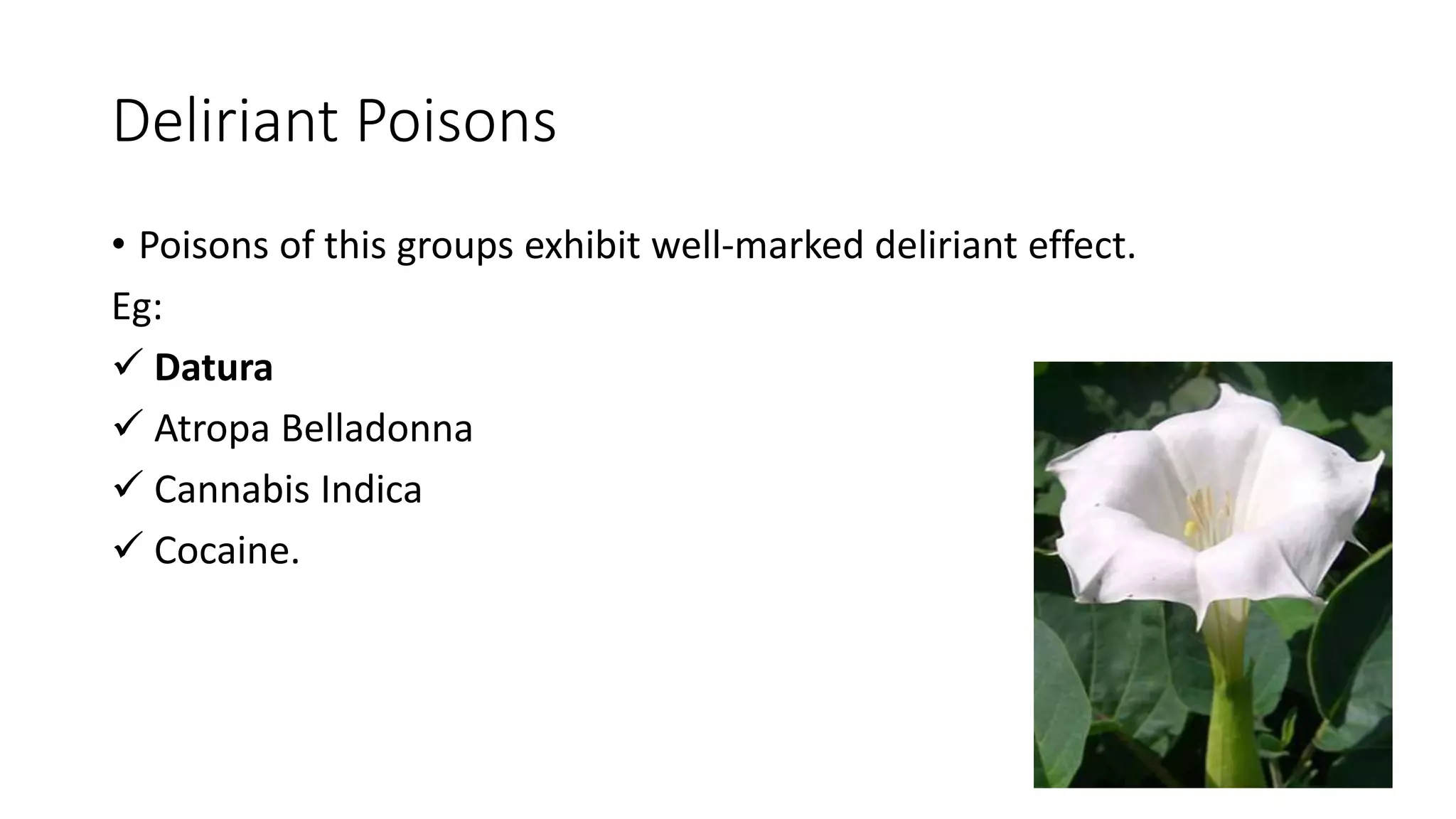 Deliritant Plant poison | PPTX