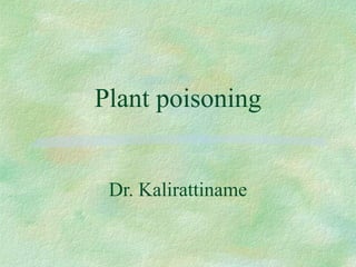Plant poisoning
Dr. Kalirattiname
 