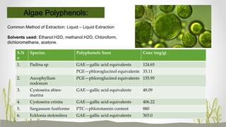S.N
o
Species. Polyphenols Seen Conc (mg/g)
1. Padina sp GAE—gallic acid equivalents 124.65
PGE—phloroglucinol equivalents 33.11
2. Ascophyllum
nodosum
PGE—phloroglucinol equivalents 155.95
3. Cystoseira abies-
marina
GAE—gallic acid equivalents 48.09
4. Cystoseira crinita GAE—gallic acid equivalents 406.22
5. Sargassum fusiforme PTC—phlorotannin content 880
6. Ecklonia stolonifera GAE—gallic acid equivalents 303.0
Algae Polyphenols:
Common Method of Extraction: Liquid – Liquid Extraction
Solvents used: Ethanol:H2O, methanol:H2O, Chloroform,
dichloromethane, acetone.
 