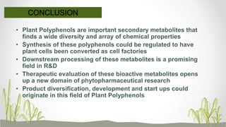 CONCLUSION
• Plant Polyphenols are important secondary metabolites that
finds a wide diversity and array of chemical properties
• Synthesis of these polyphenols could be regulated to have
plant cells been converted as cell factories
• Downstream processing of these metabolites is a promising
field in R&D
• Therapeutic evaluation of these bioactive metabolites opens
up a new domain of phytopharmaceutical research
• Product diversification, development and start ups could
originate in this field of Plant Polyphenols
 