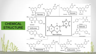 CHEMICAL
STRUCTURE
Flavanones
 