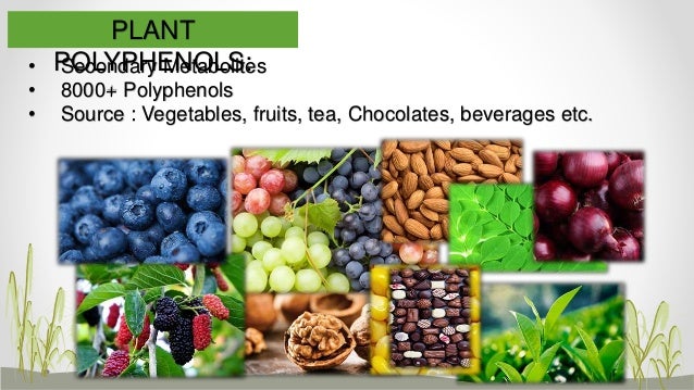 Plant Polyphenols For Slideshare