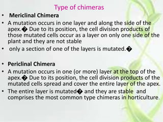 Types Chimeras Plant polyploids | PPTX