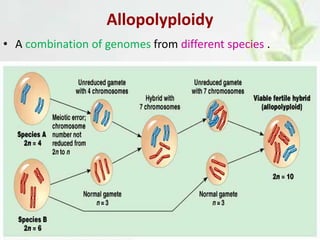 Plant polyploids | PPTX