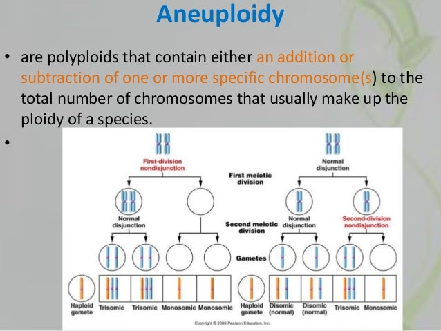 genodive for polyploids genodive for polyploids