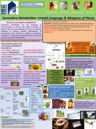 Secondary Metabolites: Untold Language & Weapons of Plants
What are secondary metabolites?
Secondary metabolites are the language of
communication as well as the defense weapons of
plants. They are bio-molecules that are not directly
involved in primary growth, development &
reproduction but involves in defense mechanism,
protection , & attraction of pollinators and can also be
used for taxonomic classification.
Plants produce diverse array
of secondary metabolites in
their cells for –
For Fitness – Plants are
known as “Sitting Ducks ”
in harsh environment so they
have to defend
themselves from different
biotic / abiotic
stresses to remain fit in the
ecosystem.
For Communication – When
flowers are blossomed they
use secondary metabolites to
produce aroma or color to
invite pollinators as well as
beneficial microbes like
Rhizobia
For Attracting Predators –
Plants also attract predators
to
protect them from the attack
of harmful insects or
pathogens. Predators are like
“ Friend of Enemies Enemy.”
For Signaling – Plants use WiFi
signals through volatile
substances produced by them
to communicate & give
message to other plants that
they are attacked by
herbivores.
Why plants produce secondary metabolites?
Wax
Lignification
Phytoalexins
Defense Mechanism
Department of Genetic
Engineering & Biotechnology
Tabina Ruzbitun Nesa
Major Groups of secondary Metabolites
Terpenoids – compounds composed of one or more C5 units. The simplest terpenoid is
isoprene, volatile gas emitted during photosynthesis in large quantities by leaves that
may protect cell membranes from damage caused by high temperature or light.
Alkaloids- compounds composed of nitrogen.
Phenolic compounds - The phenols consist of a hydroxyl group (–OH) attached to an
aromatic ring.
Contributions of Terpenoid
* Yellow color of Sunflower
*Flavor of ginger
*Flavor of cinnamon
*Flavor of cloves
*Red color of Tomato
*Artemisinin and Taxol as malaria and cancer
medicines
*Bioactive terpenoids have potential to ameliorate
metabolic disorders via activation of peroxisome
proliferator-activated receptors (PPARs).
*Citrus derived terpenoids have anticarcinogenic,
antihypertension, & anticardiovascular disease
effects
Role of Terpenoid in Human
Taxol
Artemisinin
Industrial use of
terpenoid
•Perfume production
•Production of
Antibacterial pesticide
•Production of
antineoplastic
•Pharmaceuticals uses
Perfume
Drugs
Use of Phenolics in
Agriculture
Furanoflavonoids like karanjin
or rotenoids can be used as
insecticidesPhenolics in Human Food6
The more colorful they are , the
more phenolics!
e.g.:grapes, pomegranate,green
vegetables, chocolate, green tea,
legumes,honey, berries etc.
Karanjin
insecticide
Juglone
fungicide
Catechin
herbicide
Production of caffeine,
c cocaine, nicotine, insecticides
& also in production of drugs
like Morphine, Quinine
Do you know?
Changing flower
color & making
rare colored
flowers are
possible by
introducing
Phenolic
compounds
pathway in a
plant knowing
the gene
responsible for
the color.
Nilmoni BushraShamarthee Monjur Muna Rahaman
Biosynthetic Pathway
 