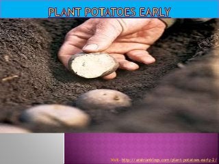 Visit- http://arabianblogs.com/plant-potatoes-early-2/
 