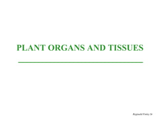 PLANT ORGANS AND TISSUES
Reginald Finley Sr
 