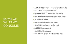 SOME OF
WHATWE
CONSUME
• ANIMAL FLESH (from a wide variety of animals)
• EGGS (from chickens and ducks)
• DAIRY PRODUCTS (...