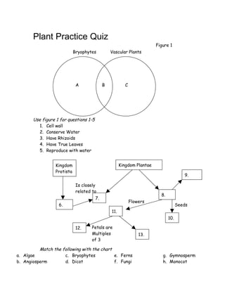 Plant Practice Quiz
                                                                         Figure 1
                            Bryophytes           Vascular Plants




                             A               B            C




       Use figure 1 for questions 1-5
          1. Cell wall
          2. Conserve Water
          3. Have Rhizoids
          4. Have True Leaves
          5. Reproduce with water


                 Kingdom                               Kingdom Plantae
                 Protista
                                                                                         9.

                             Is closely
                             related to
                                                                           8.
                                        7.
                                                              Flowers
                   6.                                                                 Seeds
                                                 11.
                                                                                10.

                             12.    Petals are
                                    Multiples                     13.
                                    of 3

          Match the following with the chart
a. Algae             c. Bryophytes           e. Ferns                       g. Gymnosperm
b. Angiosperm        d. Dicot                f. Fungi                       h. Monocot
 
