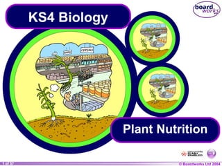 © Boardworks Ltd 2004
1 of 57
KS4 Biology
Plant Nutrition
 