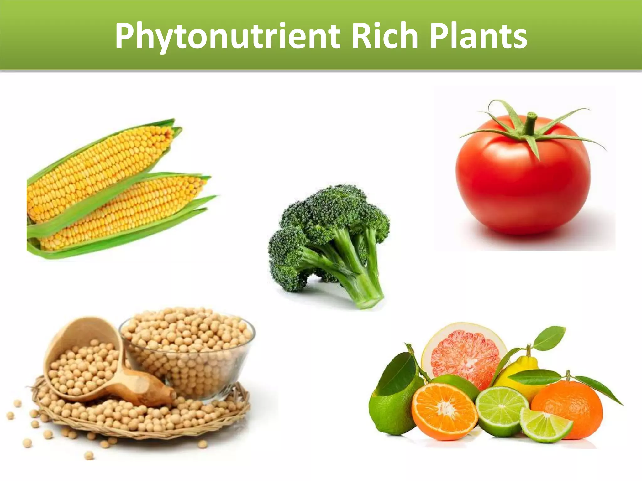 Regulation of Phytonutrient Level in Plant | PPT