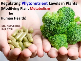Regulating Phytonutrient Levels in Plants
(Modifying Plant Metabolism
for
Human Health)
Md. Nazrul Islam
Roll: 1280
 