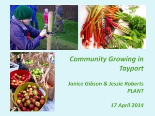 Community Growing in
Tayport
Janice Gibson & Jessie Roberts
PLANT
17 April 2014
 