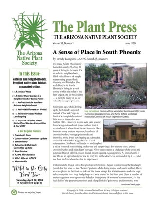 The Plant PressTHE ARIZONA NATIVE PLANT SOCIETY
VOLUME 32, NUMBER 1 APRIL 2008
continued next page
Printed on recycled paper.
A Sense of Place in South Phoenix
by Wendy Hodgson, AZNPS Board of Directors
I’ve made South Phoenix my
home for nearly 25 of my 39
years of living in Arizona. It’s
an eclectic neighborhood,
filled with all sorts of people
representing great ethnic
diversity and lifestyles. One
such lifestyle in South
Phoenix is living in a rural
setting within six miles of the
fifth largest city in the country
— a lifestyle many of us are
valiantly trying to preserve.
Four years ago, while driving
up to the Grand Canyon, I
noticed a “for sale” sign in
front of a completely restored
little stucco house that was
built in 1944. However, its one-acre yard was far
from being restored and it was evident that it
received much abuse from former tenants. Once
home to many mature saguaros, hundreds of
creosote bushes, bursage, palo verde and
ironwood trees, I was now staring at a denuded,
wounded habitat that begged for TLC and
rejuvenation. No birds, no lizards — nothing but
a nicely restored house sitting on barren soil supporting a few mature trees, spared
creosote bushes and near-death bursage. Never one to resist a challenge while seeing the
potential this lot offered, I soon found myself signing closing papers. As importantly, I
saw this as an opportunity for me to truly live in the desert, be surrounded by it — I did
not have to drive elsewhere for its experience.
Unfortunately, I took only a few photographs before I began transforming the landscape
(words for the wise — take “before” pictures while doing major work such as this). There
were no plants in the front or sides of the house except for a few creosotes and one large
velvet mesquite tree; large hedgehog cacti were spared in the front yard (here a number of
mature saguaros were apparently felled at the expense of someone’s amusement). In the
back half of the property creosotes and a large littleleaf palo verde and ironwood were
In this Issue:
Gardens and Neighborhoods:
Providing native plant habitats
in managed settings
1-3 A Sense of Place
6-9 A Native Plant Garden in a
Neighborhood of Exotic Plants
10-11 Native Plants in Northern
Arizona Neighborhoods
12-13 Native Wildflowers are Weeds?
13-15 Rainwater-based Habitat
Landscaping
16-17 Flagstaff Chapter AZNPS
Native Plant Garden Competition
& Tour 2007
& Our Regular Features:
2 President’s Note
4 Conservation Committee Update
9 Ethnobotany
15 Education & Outreach
Committee Update
17 Book Review
18 AZNPS Merchandise
19 Who’s Who at AZNPS
20 Membership
Wild in the City
Yard Tour
Saturday, April 12, 2008
in Tucson (see page 5)
Copyright © 2008. Arizona Native Plant Society. All rights reserved.
Special thanks from the editors to all who contributed time and efforts to this issue.
top to bottom Home with re-vegetated landscape (2007, note
numerous grass plantings) and home before landscape
restoration, devoid of much vegetation (2005).
 