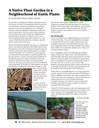 6 The Plant Press ARIZONA NATIVE PLANT SOCIETY April 2008 www.aznps.org
A Native Plant Garden in a
Neighborhood of Exotic Plants
by Cynthia Place Reiners, Tucson, Arizona
In June 2006, my husband was suddenly transferred to Tucson
from Denver, Colorado. We intentionally selected a home with
one characteristic considered a drawback to most potential
purchasers, but a welcome challenge for me: a 3,000-sq. ft.
backyard containing nothing but crushed gravel mulch and a
poured concrete patio. This was my first chance to design an
entire landscape from scratch. Within this neighborhood of
predominantly exotic plants, my objective was to create a
backyard garden of mostly native plants attractive to a wide
range of animal life which will also be considered a desirable
asset for resale in three to five years.
My previous gardening and design experiences are nothing if not
diverse. Our Southern California yard was filled with the exotic
flowering trees and shrubs so beloved of immigrants at the turn
of the last century, plus a large vegetable garden. In a Virginia
suburb of Washington, D.C., restoration of a long-neglected
second growth forest and creation of a pollinator garden were
the main activities. In Denver, the typical mature landscape of
Kentucky blue grass and overgrown foundation shrubs was
extensively redeveloped according to xeriscape principles.
Numerous short grass prairie plants rescued from development
were incorporated. The fact that all of these gardens were already
fully planted out conferred two important advantages: I could
learn about the plants
in place before making
changes, and utilize a
piece-meal, gradual
approach, performing
most of the labor
myself.
In Tucson, all of the
plants and horticultural
practices were new to
me. Due to our
relatively short time-frame, we decided to hire out the
installation according to my landscape design. My immersion in
the plants of the Tucson Valley and foothills kept me busy during
the first several months of relocation adjustment. The drip
irrigation and plants were installed in two waves, in February
and March 2007.
The starting point
This is a very high turnover neighborhood due to the proximity
of the Air Force base. Front yard trees planted by the developer
are primarily South American mesquite, African sumac, and
Eucalyptus. Most adjacent backyards include turf grass, citrus
trees, bougainvillea, Mexican fan palms, oleander, roses, lantana,
and a number of now-dead exotic deciduous trees. There are no
watering restrictions in place.
Due to topography, our lot is unusually large and irregularly
shaped. It features the “rabbit warren” style of development, 5-
and 6-foot high cinder block walls, with the houses set very close
together except for the depth of our backyard. For some reason,
none of our neighbors have planted screening-height shrubs on
their side of the wall, so we have a clear view into their
backyards. During the monsoon season we discovered there was
no drainage from the back to the front, such that the house was
surrounded on three sides by fairly deep standing water.
Nearby (but not immediately adjacent) a very large natural area
provides a good reservoir for seeds and animals. Useful plants in
adjacent neighbors’ yards include Yucca elata, nesting site of the
cactus wrens; citrus trees, roosting site of numerous bird species
and host plant for larva of Giant Swallowtail butterfly;
Caesalpinia mexicana, nectar plant for numerous large-sized
butterflies; and a dead tree used as a perch by an extremely
territorial Costa’s hummingbird.
There is NO SHADE anywhere in the east-facing backyard until
mid-afternoon in summertime. Backyard access is limited to one
narrow side gate and one sliding glass door from the living
room, with additional visibility from windows in the master
bedroom.
continued next page
this page, clockwise
from top right
Dragonfly.
Ctenucha venosa on
Eupatorium greggi.
Cloudless sulphur
chrysalis under table.
Cicada hunter wasp
excavating under
Asclepias subulata.
 