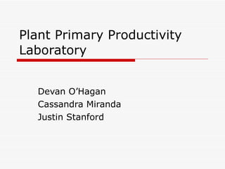 Plant Primary Productivity Laboratory Devan O’Hagan Cassandra Miranda Justin Stanford 