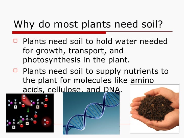 Plant primary productivity laboratory
