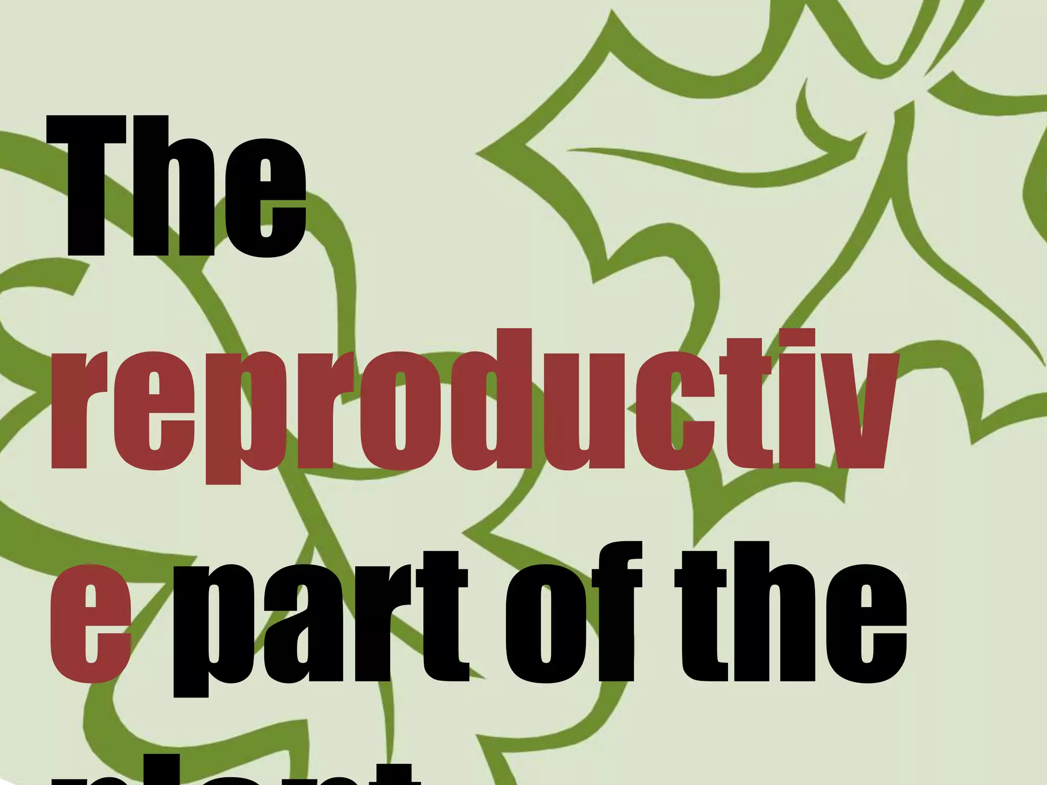 plant-production-ppt-free-download
