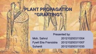 PLANT PROPAGATION
“GRAFTING”
Presented by:
Moh. Sahrul 201210200311004
Fywit Eka Fransiska 201210200311007
Suhardi 201210200311030
 
