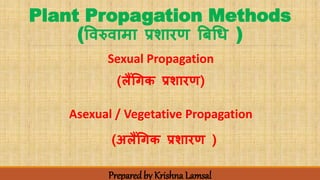 Plant Propagation Methods
(विरुिामा प्रशारण बिधि )
Sexual Propagation
(लैंधिक प्रशारण)
Asexual / Vegetative Propagation
(अलैंधिक प्रशारण )
Preparedby Krishna Lamsal
 