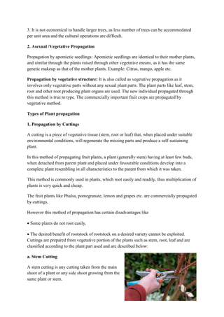 Plant propagation | PDF