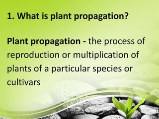 Plant propagation.pptx