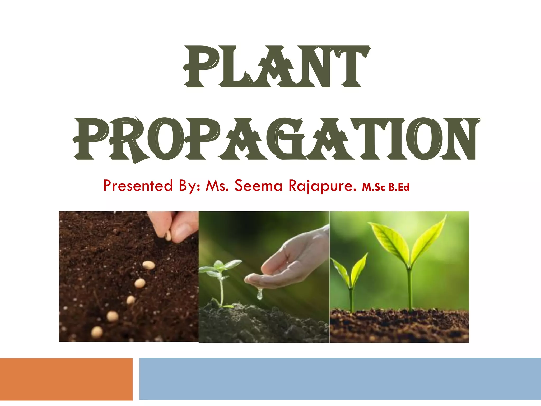 Plant propagation PPT