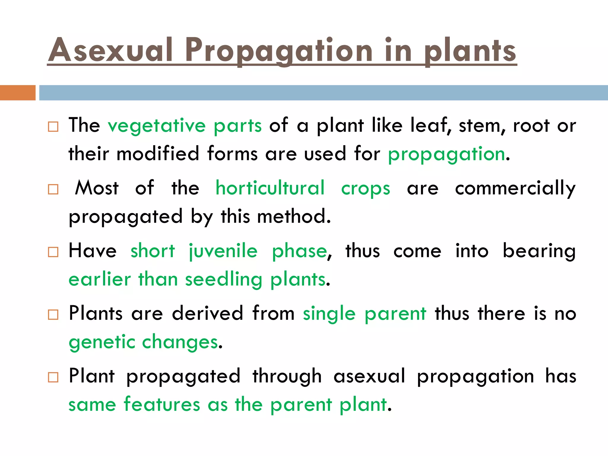 Plant propagation | PDF