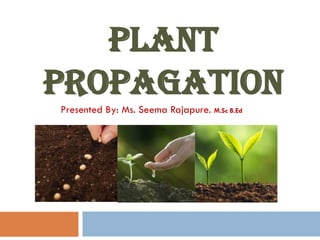 PLANT
PROPAGATION
Presented By: Ms. Seema Rajapure. M.Sc B.Ed
 
