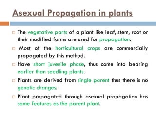 Asexual Propagation in plants
 The vegetative parts of a plant like leaf, stem, root or
their modified forms are used for propagation.
 Most of the horticultural crops are commercially
propagated by this method.
 Have short juvenile phase, thus come into bearing
earlier than seedling plants.
 Plants are derived from single parent thus there is no
genetic changes.
 Plant propagated through asexual propagation has
same features as the parent plant.
 