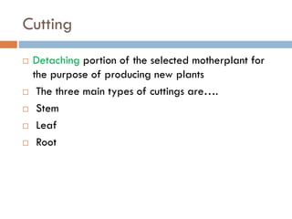 Cutting
 Detaching portion of the selected motherplant for
the purpose of producing new plants
 The three main types of cuttings are….
 Stem
 Leaf
 Root
 