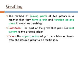Grafting
 The method of joining parts of two plants in a
manner that they form a unit and function as one
plant is known as ‘grafting’.
 Rootstock: The part of the graft that provides root
system to the grafted plant.
 Scion: The upper portion of graft combination taken
from the desired plant to be multiplied.
 