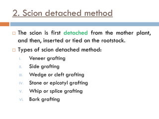 2. Scion detached method
 The scion is first detached from the mother plant,
and then, inserted or tied on the rootstock.
 Types of scion detached method:
I. Veneer grafting
II. Side grafting
III. Wedge or cleft grafting
IV. Stone or epicotyl grafting
V. Whip or splice grafting
VI. Bark grafting
 